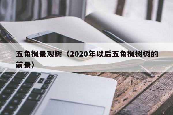 五角枫景观树（2020年以后五角枫树树的前景）  第1张