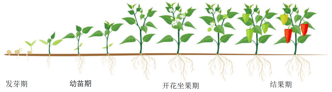 🌸豆瓣电影【新澳门一码一肖一特一中】-废铜回收今日价格多少钱一公斤  第3张