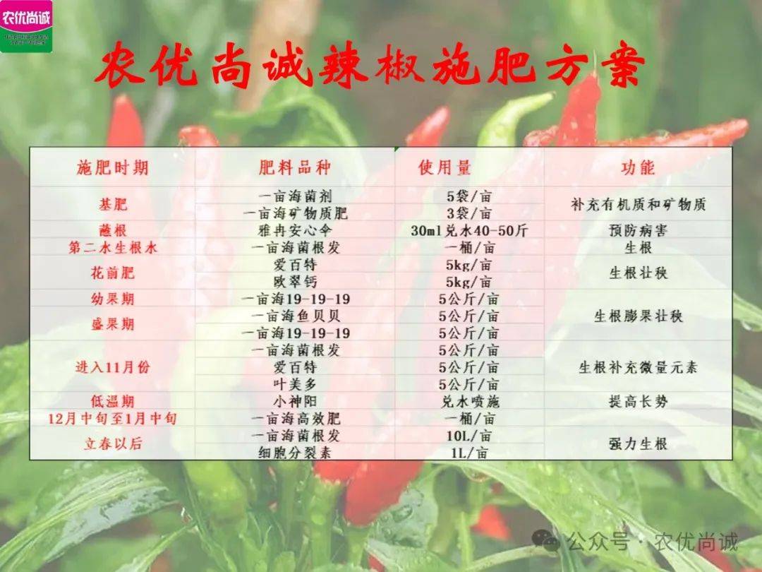 🌸虎牙【新澳门一码一肖100精确】-同声传译是什么样的？