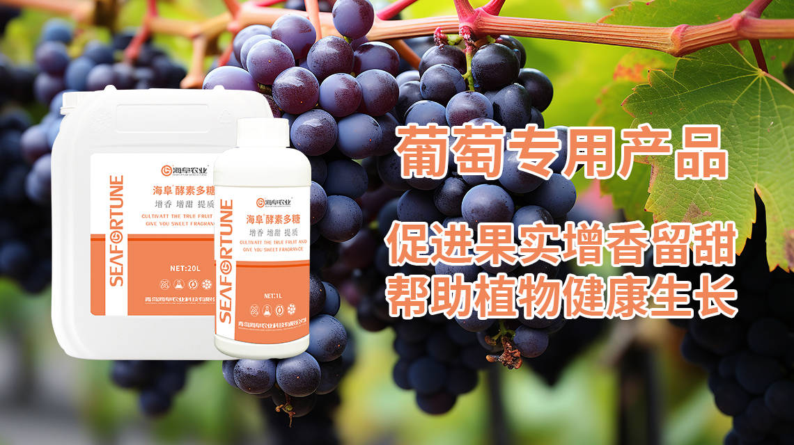 🌸豆瓣电影【新澳门一码一肖一特一中】-吃的时候注意“嘴下留情”，这“三种”水果自己在家里也能种