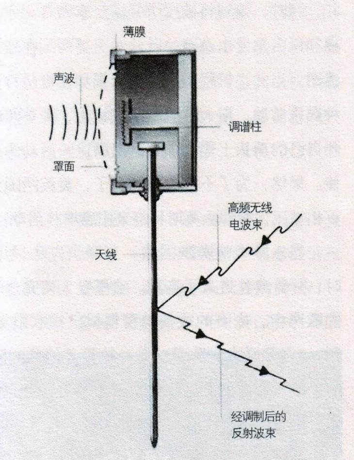 国际在线【澳门一码一肖100准今期指点】-树说南粤 | 江门牛过塘古树群：门前樟木林 不改旧时香  第1张