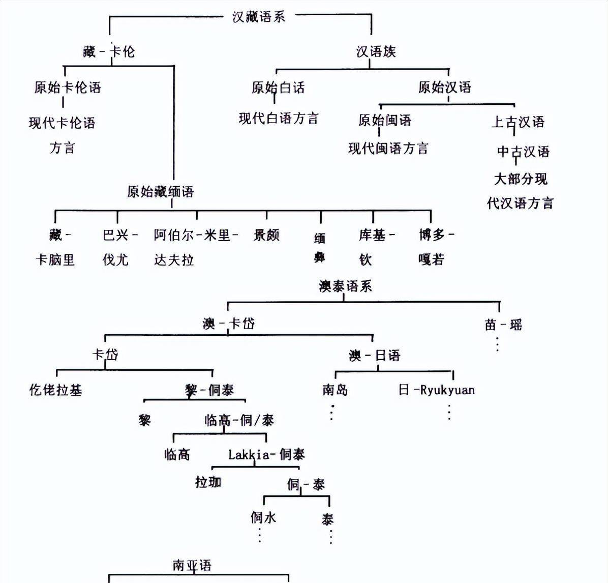 🌸京东【最准一肖一码一一子中特】-中国特有的狸花猫，居然这么珍贵吗？