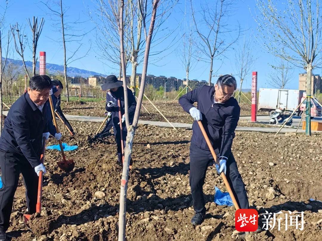 🌸豆瓣电影【新澳门一码一肖一特一中】-烟台民意通|银芝小区玉兰花树被拔 居委会：物业更换老化景观树  第3张