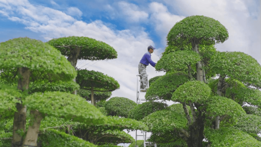 🌸新华网【新澳彩资料免费资料大全】-康弘药业这款新药同时获批进入中国和美国临床试验  第1张