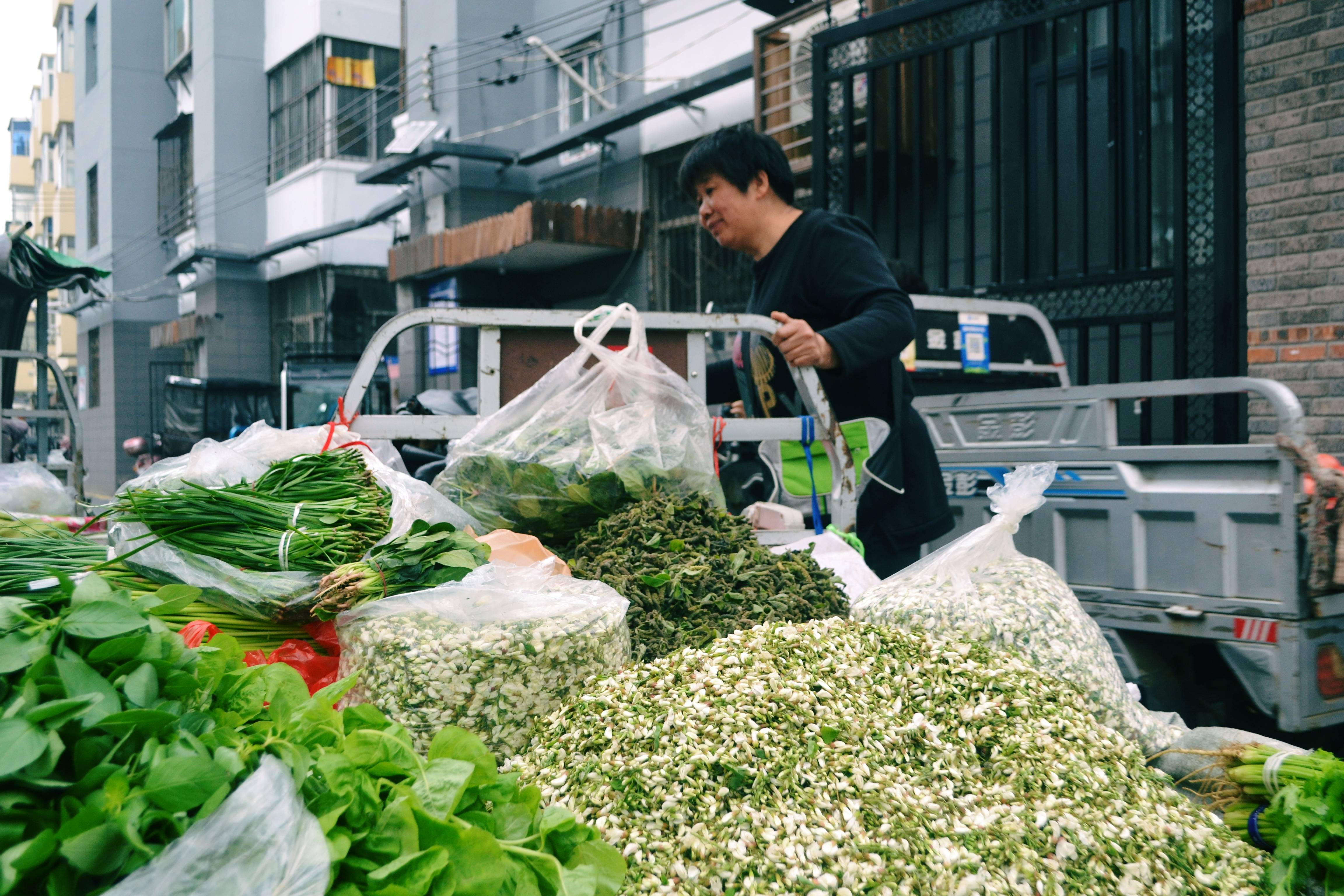 🌸今日【7777888888管家婆中特】-国槐2024年4月23日报价