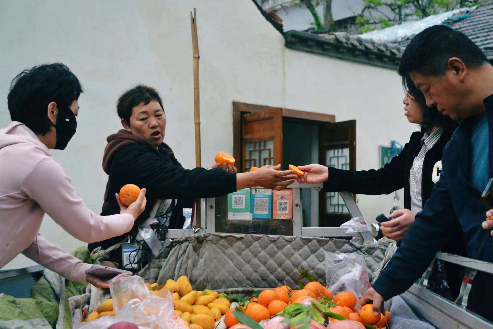 🌸豆瓣电影【新澳门一码一肖一特一中】-烟台民意通|银芝小区玉兰花树被拔 居委会：物业更换老化景观树