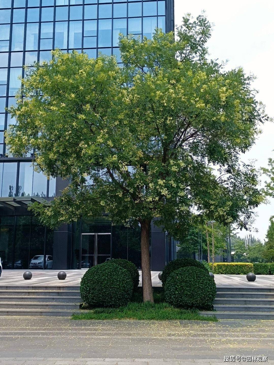 🌸新浪电影【澳门一肖一码必中一肖一码】-80年代常用的10种老物件，都被淘汰了，你家还有吗？能认识几种？  第3张