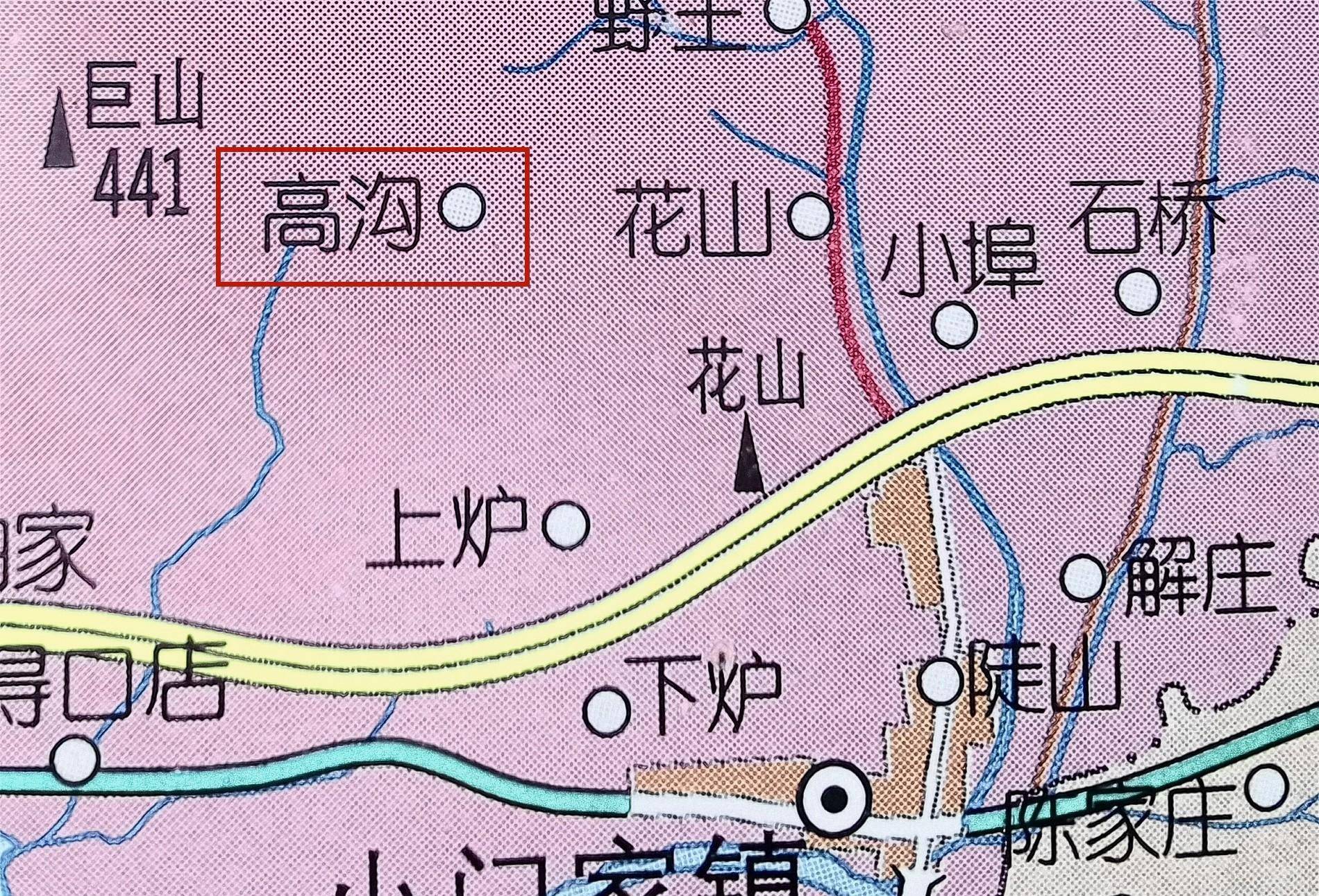 🌸快手短视频【2024新澳门正版免费资料】-它是树中的“活化石”，农户常用果实泡酒喝，城里1斤卖40元  第2张