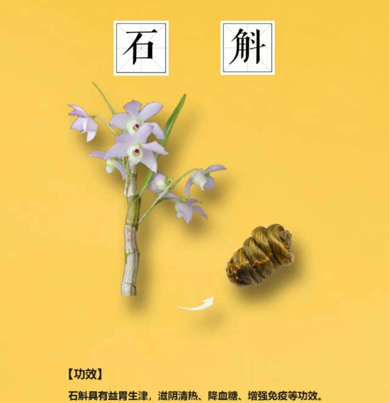 🌸腾讯【澳门2024正版资料免费公开】-拔牙后镶牙好还是种牙好？  第3张