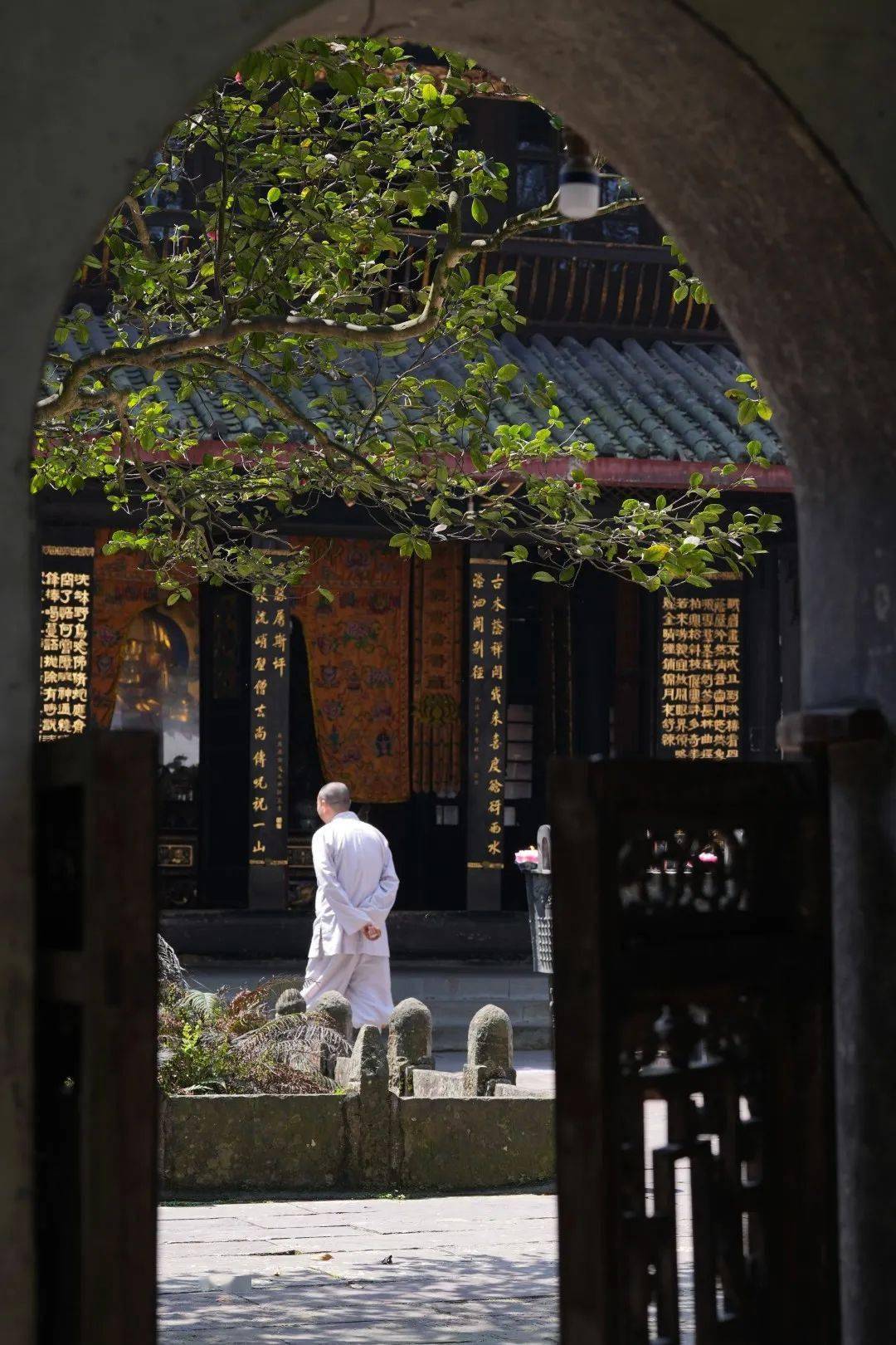 🌸趣头条【香港二四六开奖免费资料】-晟景文旅：旅游景区生态廊道应该怎么建设？关键在于五个方面！