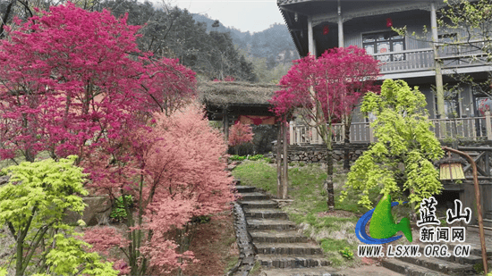 🌸新浪电影【澳门一肖一码必中一肖一码】-一公学堂资讯