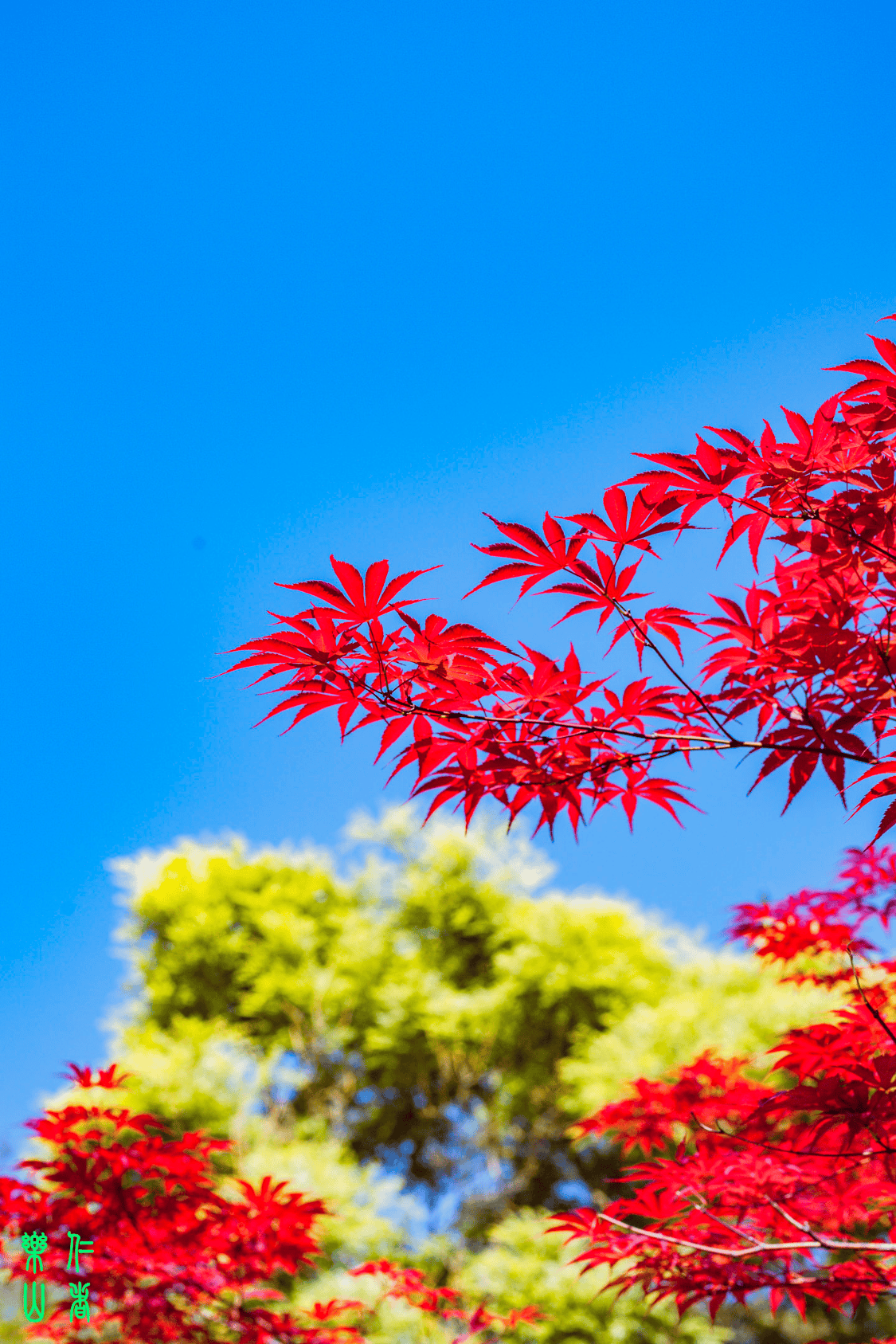 🌸趣头条【香港二四六开奖免费资料】-日本最适合作为美国的金融猎物了  第2张