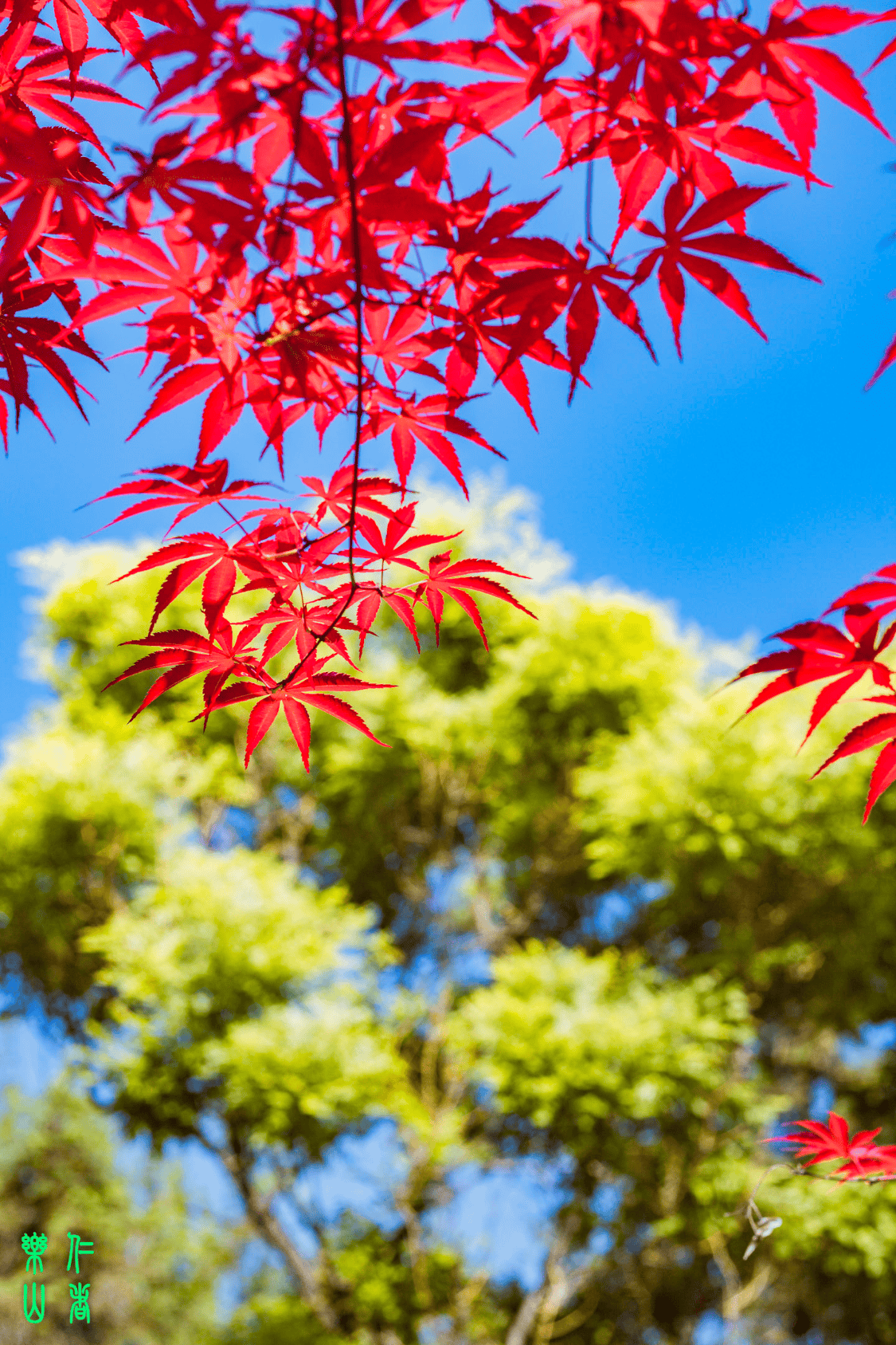 🌸谷歌【澳门管家婆一肖一码100精准】-1268套！又一批公租房来了！