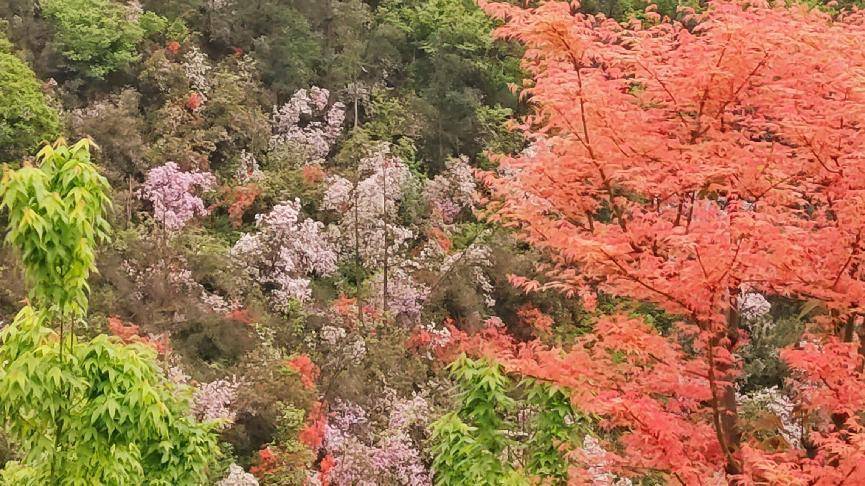 🌸新闻【2024新澳门天天开好彩大全】-美国最神秘的家族：财富没人知道，在美国的社会地位不可忽视  第2张