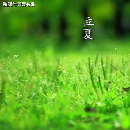 🌸新浪电影【澳门王中王100%期期中】-都知“盆景”养成老桩价值高，浇水“对了”成功一半，快来学一下  第4张