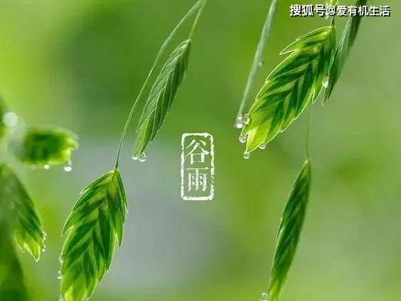 🌸飞猪视频【2024年正版免费资料大全】-汕头东海岸大道新增超1000棵景观树，打造10公里绿色长廊  第4张