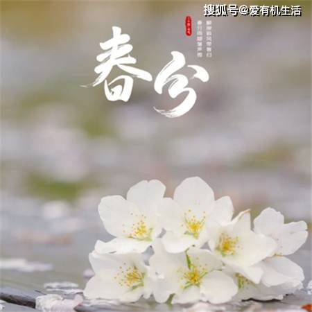 🌸美团【新澳2024年精准一肖一码】-再聚“冠军林” 共植胜利树 ——江苏省体育局训练中心举办“冠军林”植树活动暨体能大比武颁奖仪式