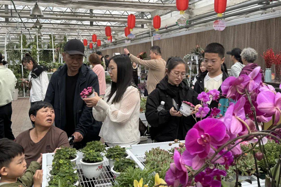 🌸腾讯【澳门六开彩天天开奖结果】-花1分钟了解下,带家人去张家界旅游攻略图片