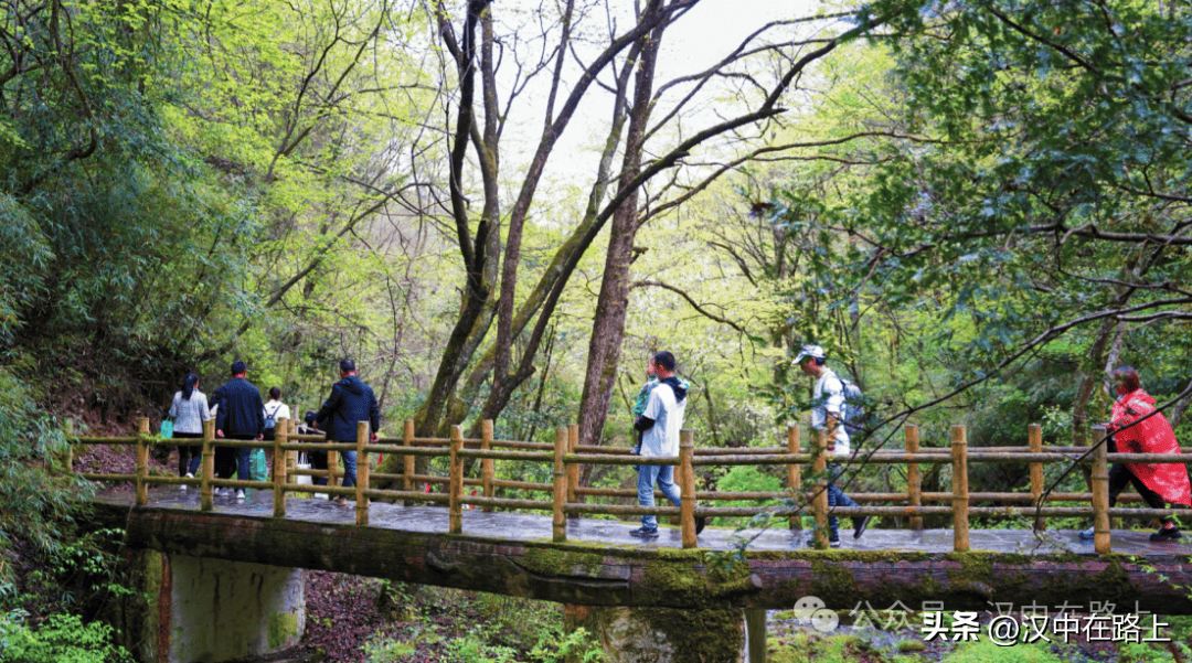 🌸芒果影视【新澳彩资料免费长期公开930期】-张家界旅游的攻略图片大全 ,过来人揭秘！  第1张