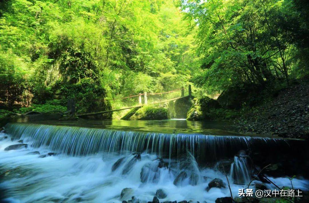 🌸京东【最准一肖一码一一子中特】-涨！今日铜价！电解铜价格多少钱一吨（5月10日）  第5张