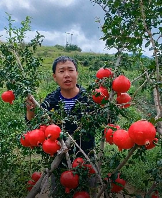 🌸龙珠直播【澳门一肖一码精准100王中王】-涨！今日铜价！电解铜价格多少钱一吨（5月10日）