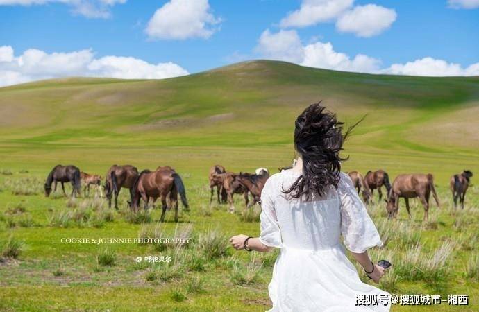 🌸飞猪视频【2024年正版免费资料大全】-圣女果的种植方法和技术  第4张