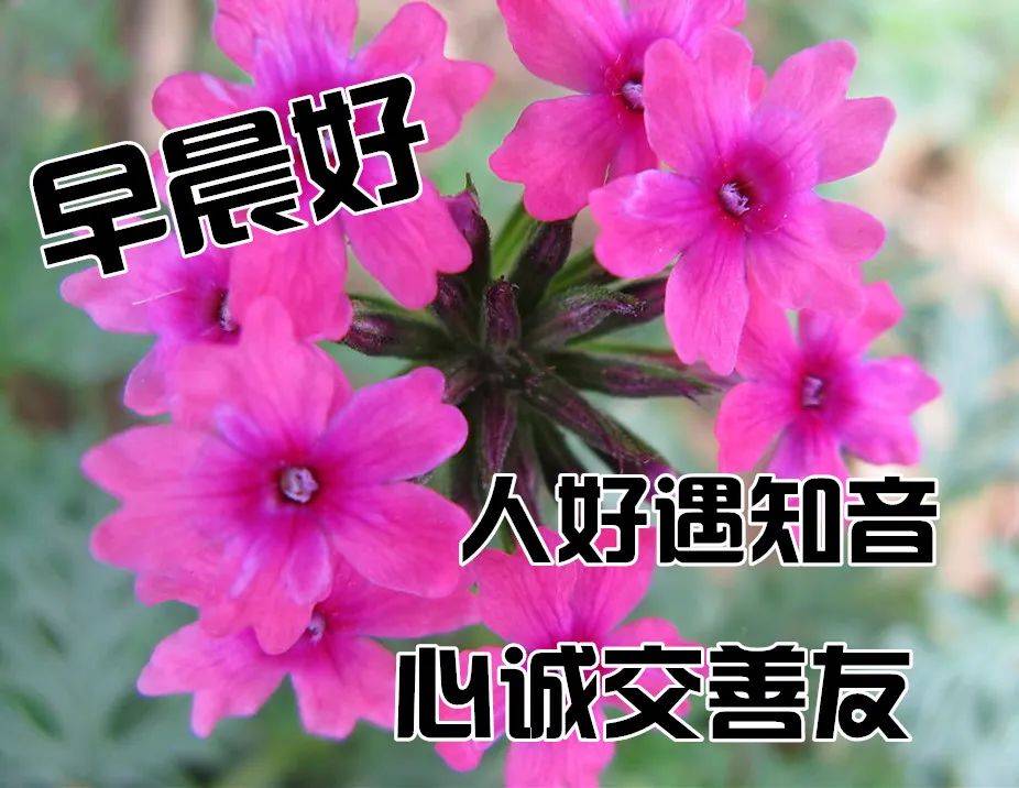 🌸澎湃新闻【澳门一码中精准一码免费中特  】-古时候皇帝龙袍有多珍贵？可以洗吗？网友：有钱任性  第1张