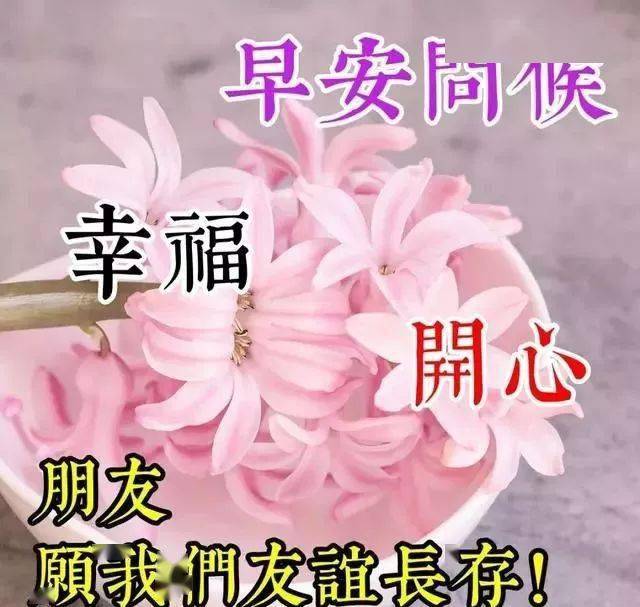 🌸新华网【新澳彩资料免费资料大全】-海盐这种常见的树会结果？药用价值极高，很多人没见过…  第1张