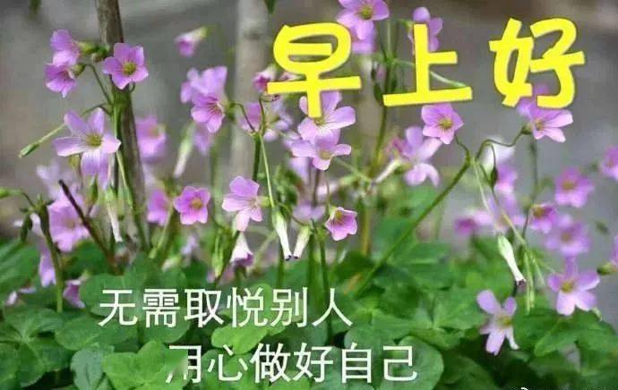 🌸京东【最准一肖一码一一子中特】-50亿！又一高校科创母基金成立