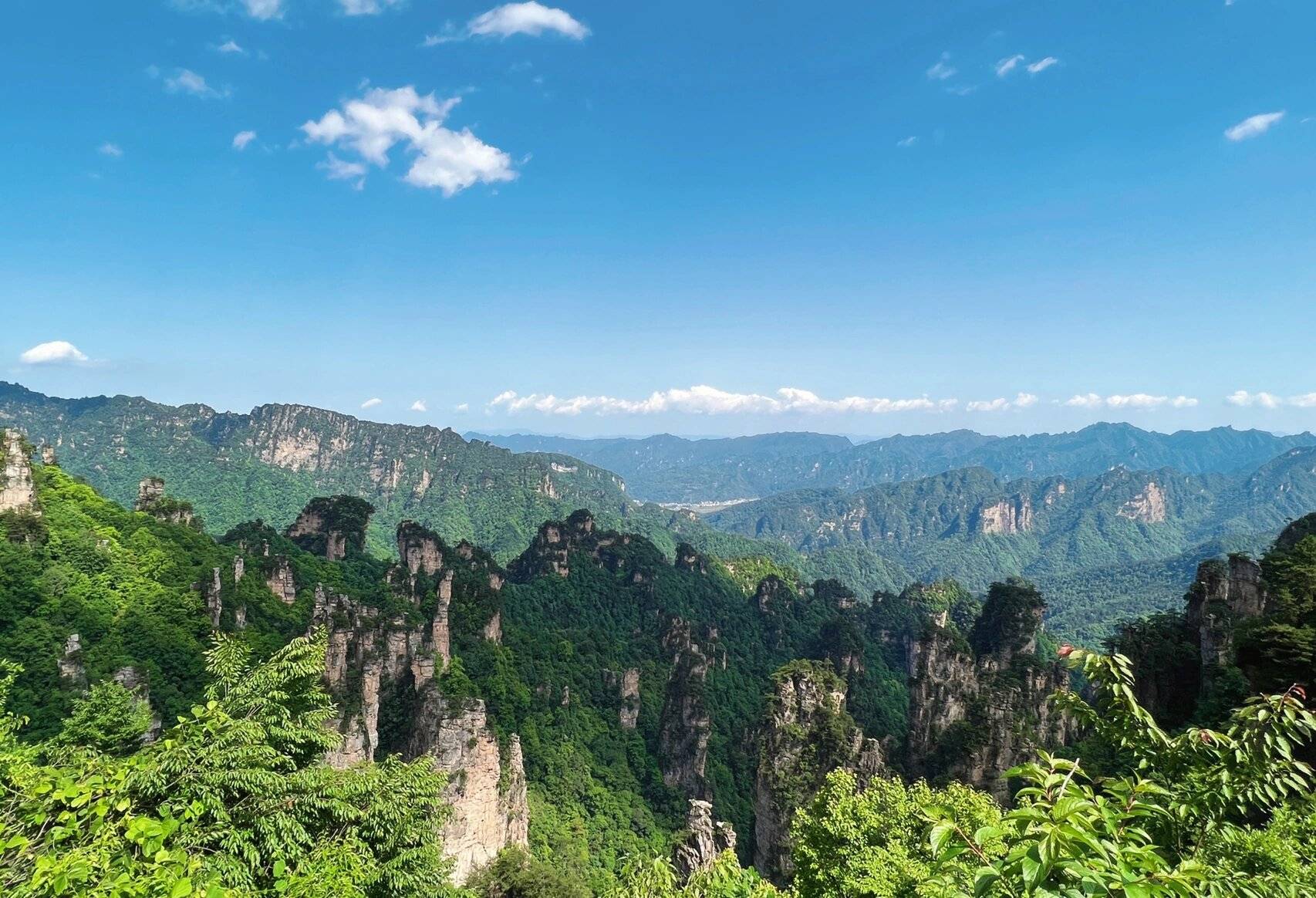 🌸澎湃新闻【澳门一码中精准一码免费中特  】-崇祯皇帝自尽的煤山“歪脖树”，在过了300多年后，现状如何？