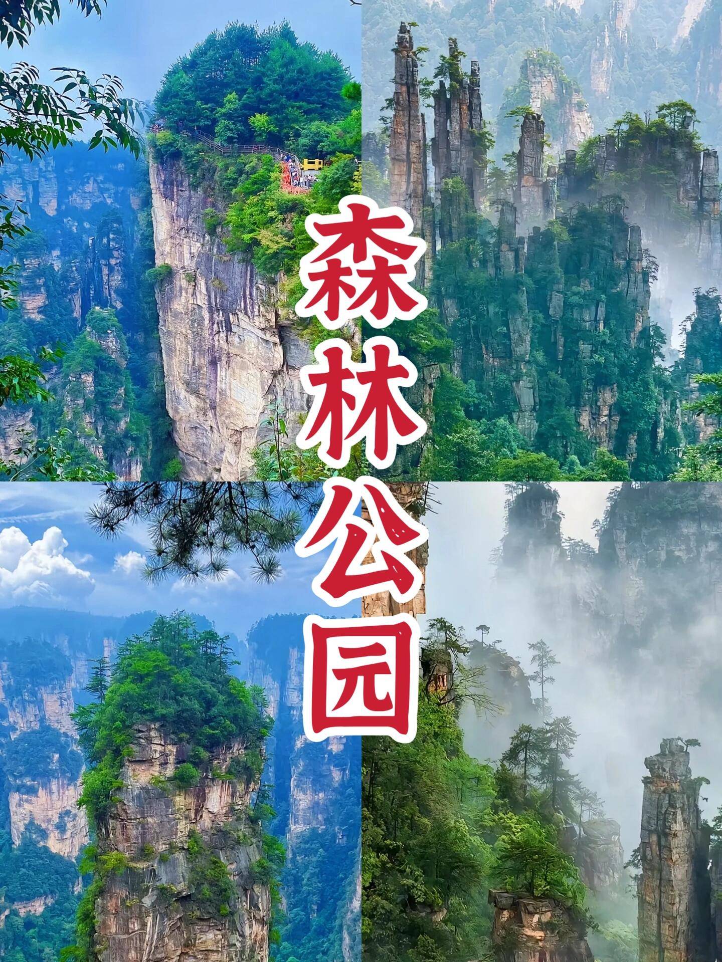 🌸爱奇艺【澳门一肖一码必中一肖一码】-张家界千古情和魅力湘西哪个好看，张家界魅力湘西门票价格多少钱