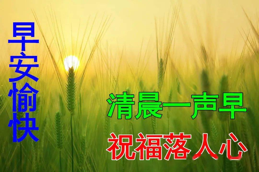 🌸影视风云【澳门天天开彩好正版挂牌】-对于传统行业来说，信息流广告和搜索广告哪个更贵？