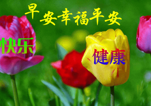 🌸天涯【澳门平特一肖100%免费】-圆形鱼缸和方形鱼缸哪个风水好  第4张