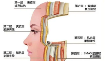 🌸小米【2024正版资料大全免费】-花木产业网|如何选择园林绿化的苗木品种？