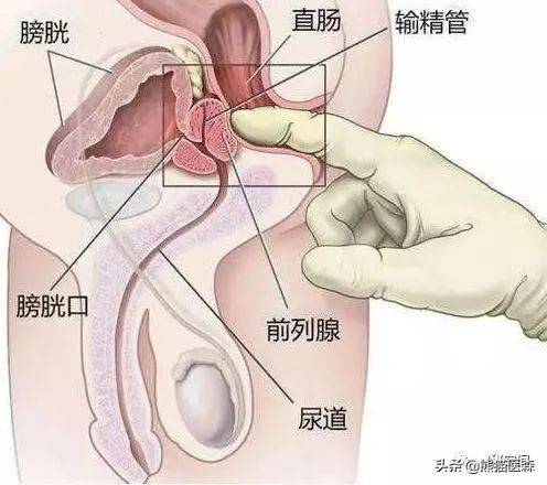 🌸搜视网【新澳门内部资料精准大全】-ST有棵树或仍具备重整价值 被债权人申请重整及预重整  第1张