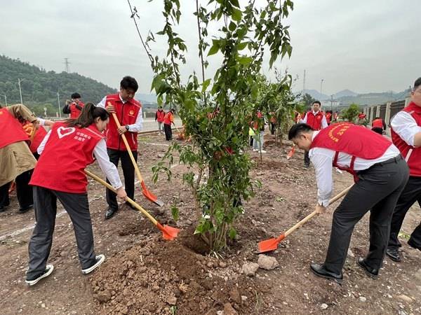 九派新闻:2024年管家婆一肖中特-闵行这里一年只开放1个月，好多盆栽的老梅桩……错过就等下一年  第2张