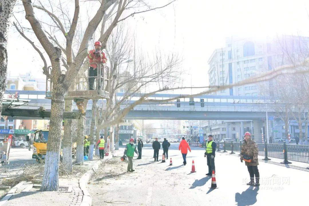 🌸今日【7777888888管家婆中特】-【迎亚冬 强管理 优环境 树形象】区住建局在整治城市环境中夯实“红色物业”创建成果  第1张