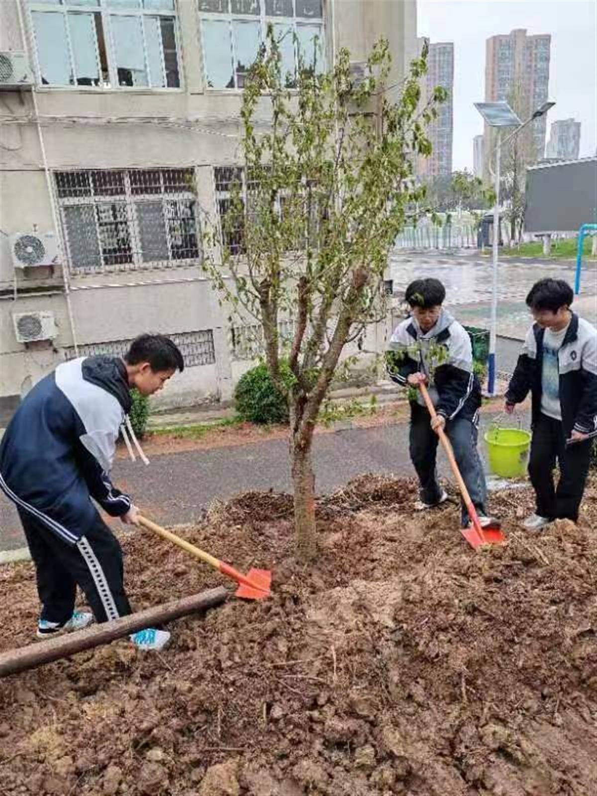 🌸猫眼电影【澳门一肖一码100准免费资料】-侮辱性极强，扎哈罗娃：若想抹黑美国，循环播放拜登的演讲就够了