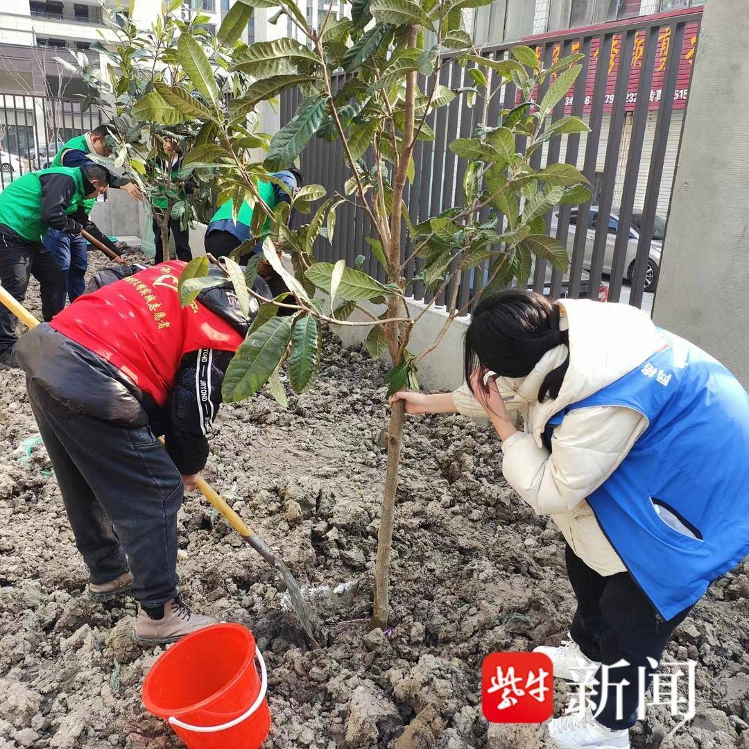 🌸飞猪视频【2024澳门资料大全免费】-清朝皇帝顺序和各个皇帝的详细简介  第1张