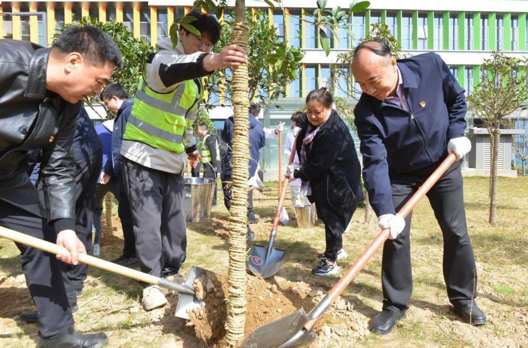 🌸搜狗【2024澳门正版资料大全免费】-中国最贵的一棵树，掉下来的树叶曾拍卖到20万，尼克松得到过4两  第6张