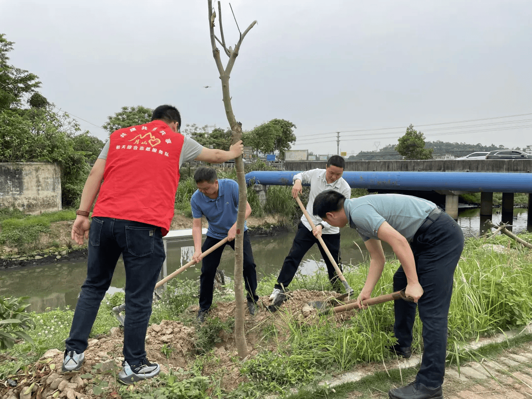 🌸豆瓣电影【新澳门一码一肖一特一中】-递补是他!央视将直播乒乓球冠军赛!王楚钦退赛引热议 林高远落选