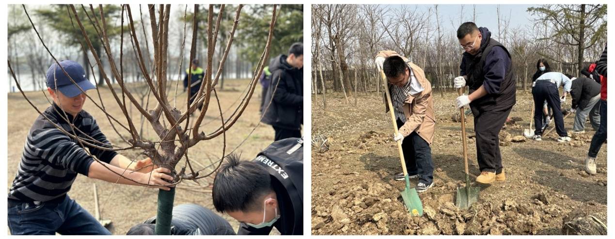 🌸快手短视频【管家婆一码一肖100中奖】-红心火龙果和白心火龙果哪个好？火龙果吃红的好还是白的好？  第3张