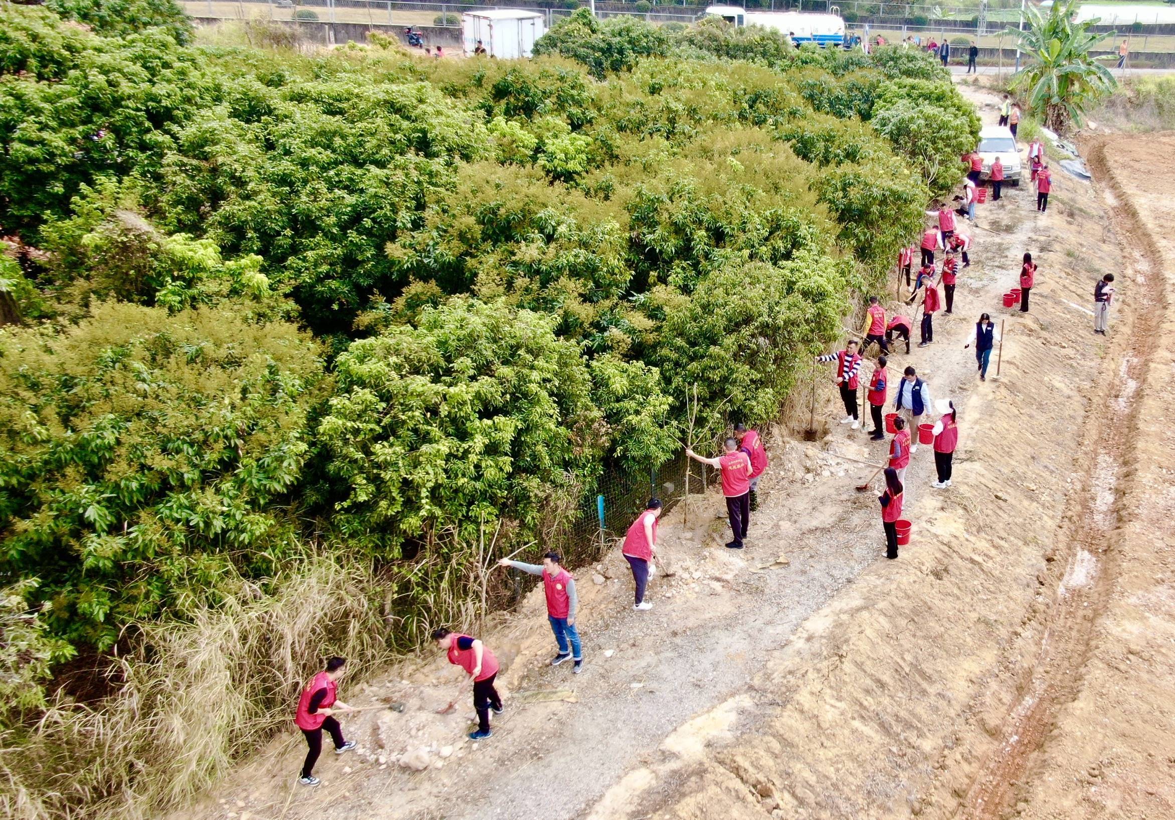 🌸凤凰视频【2024澳门天天开好彩大全】-孟鹤堂唱歌，栾树弹钢琴伴奏，于谦正把自己的人脉介绍给干儿子  第4张