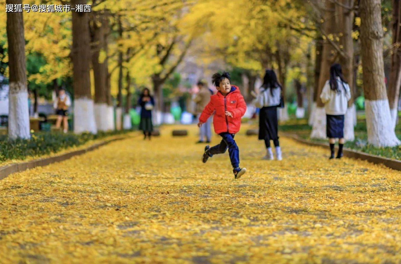 🌸飞猪视频【2024澳门资料大全免费】-加气砖的优缺点介绍-众联优选