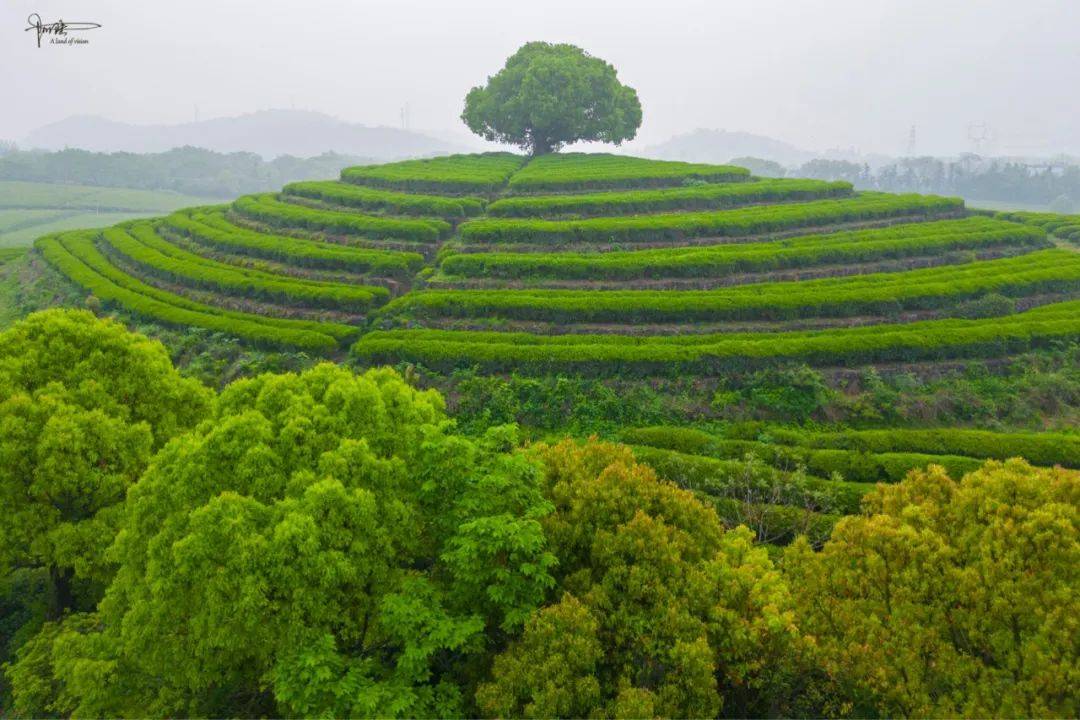 🌸谷歌【澳门管家婆一肖一码100精准】-厦门旅游大概需要花多少钱,厦门旅游必去十大景点图片,看完就懂!