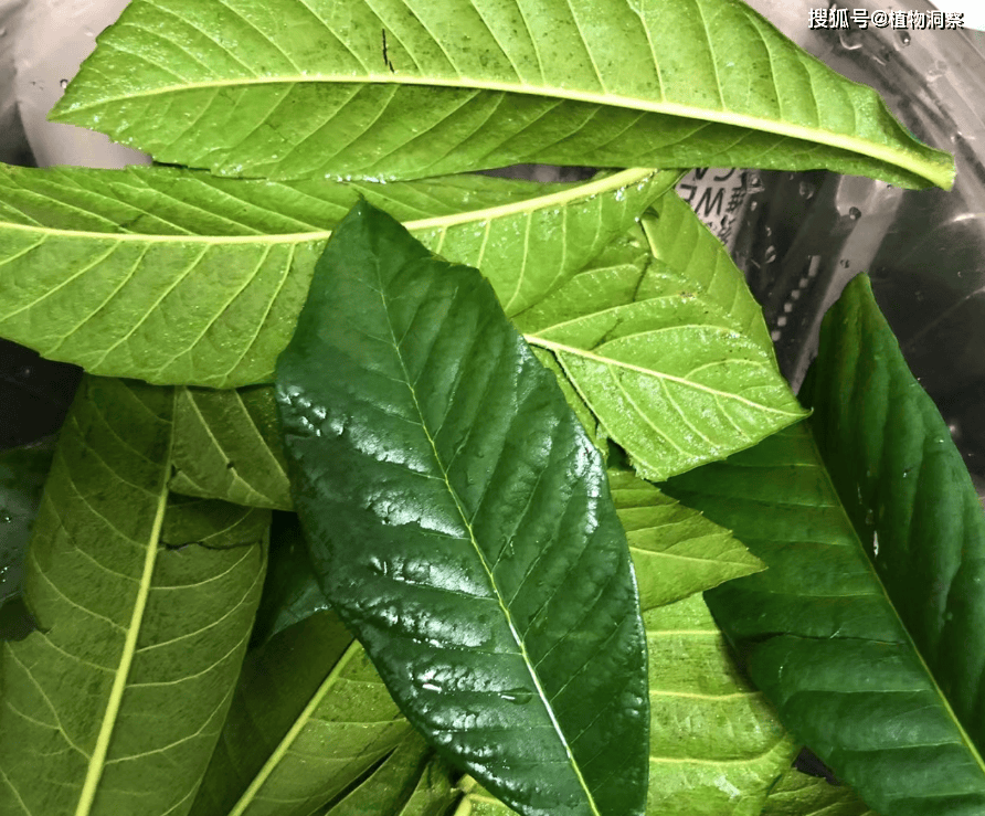 🌸爱奇艺【澳门一肖一码必中一肖一码】-分开后，女人还会对你有这3种行为，就是想要和你“在一起”！