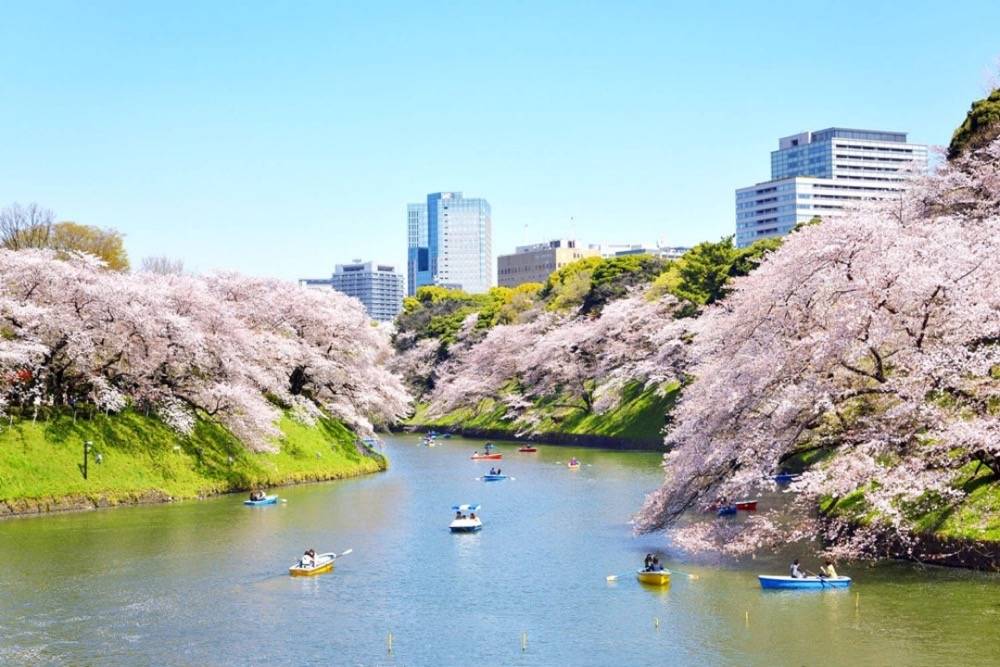 🌸澎湃新闻【澳门一码中精准一码免费中特  】-想要去美国留学的人那么多，又有几个人能留下？  第2张