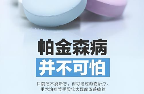 爱淘宝【澳门一码一肖一特一中2024】-银杏树上结的白果，其实是它的什么？种子还是果实？蚂蚁庄园5月14日正确答案  第3张