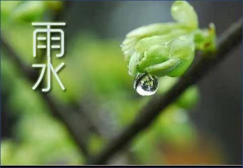 🌸凤凰视频【2024澳门天天开好彩大全】-公墓位置是中间好还是边上好  第2张