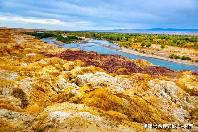 🌸飞猪视频【2024年正版免费资料大全】-植树节 | 树的价值，你了解吗？  第1张